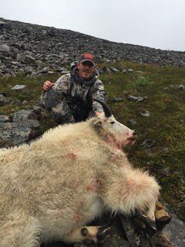 Alaska Back Pack Mountain Goat on Kodiak Island