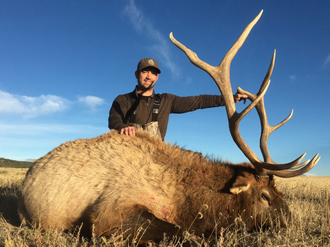 New Mexico Private Land Elk Hunt Guaranteed Tags