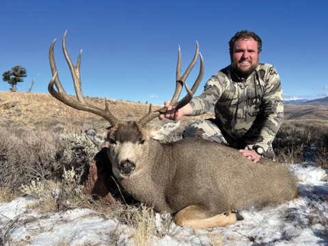 Colorado Gunnison Basin Trophy Mule Deer