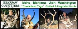 Bear Paw Outfitters