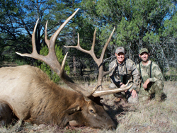 Monster Arizona Elk with some added character!!!