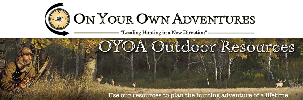 oyoa header