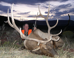 Another spectacular bull taken on a Raftopoulos Ranches Elk hunt. If you have spent the time to draw the tag, reduce your risk of going home with an unfilled tag and contact John Raftopoulos!