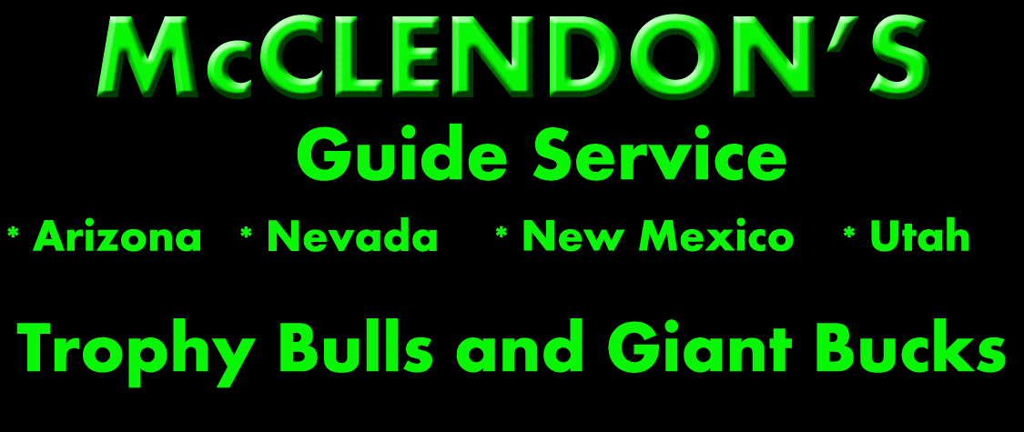 McClendonBlockAd