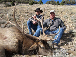 A trophy quality Nevada bull taken by a Leeder Hunting client