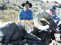 If you have drawn a coveted Nevada desert bighorn sheep tag, don't chance going home empty. Hire one of Nevada's top sheep guides in Leeder Hunting!