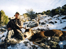Triple H Deer Nevada2