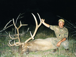 Triple H Elk Nevada1