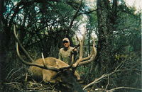 SCORE:333
SPREAD:47
ANTLERS:6x6
