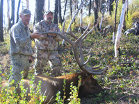 SCORE:345 6/8
SPREAD:44
ANTLERS:6 X 6
