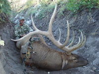 SCORE:401
ANTLERS:6x6
