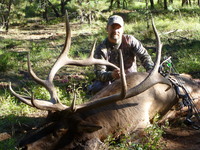 SCORE:365
 SPREAD:40
 ANTLERS:6x8
  