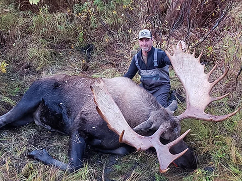 Alaska Trophy Moose Hunt in Denali National Preserve