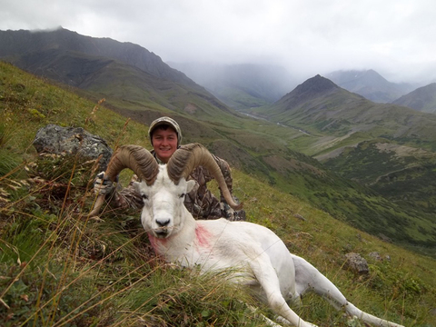 Alaska Range and Wrangell's Mountains Dall Sheep