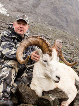 Alaska Range and Wrangell's Mountains Dall Sheep