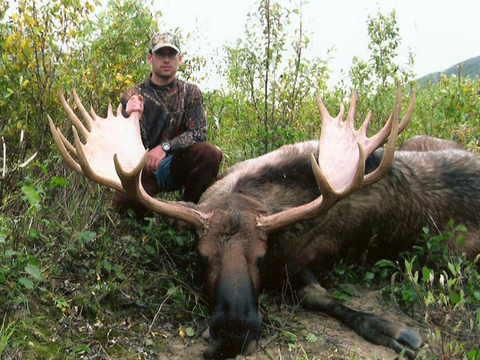 Alaska Peninsula or Cook Inlet Alaskan Moose Hunt 