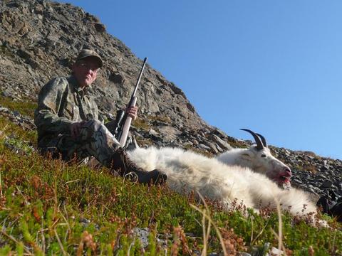 Alaska Back Pack Mountain Goat on Kodiak Island