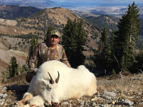 Wyoming Unit 2 Mountain Goat 