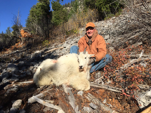 Wyoming Unit 2 Mountain Goat 