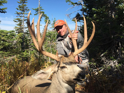 Wyoming Region H High Country Mule Deer