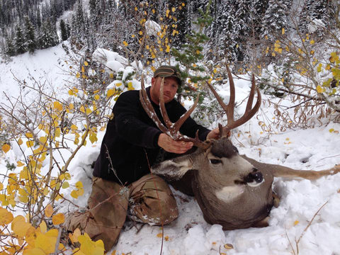 Wyoming Region H High Country Mule Deer