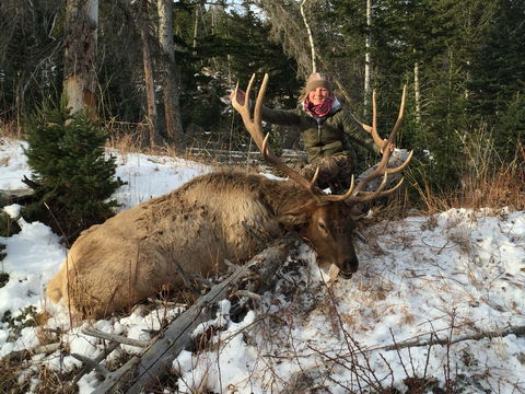 Wyoming Horseback General Area Elk Hunt