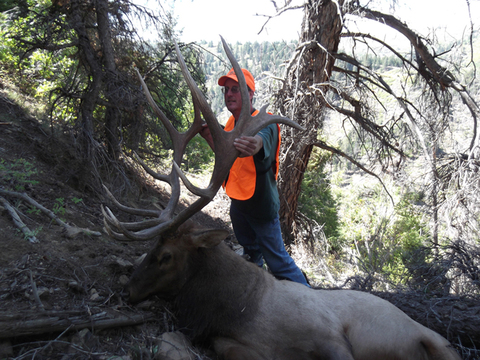 Utah Manti and Book Cliffs Trophy Elk Hunts