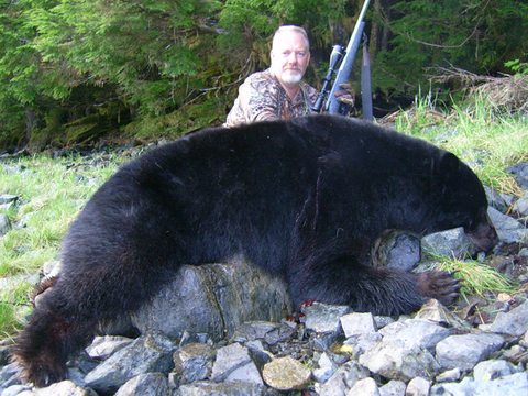 Alaska Coastal Black Bear on Prince of Wales Island