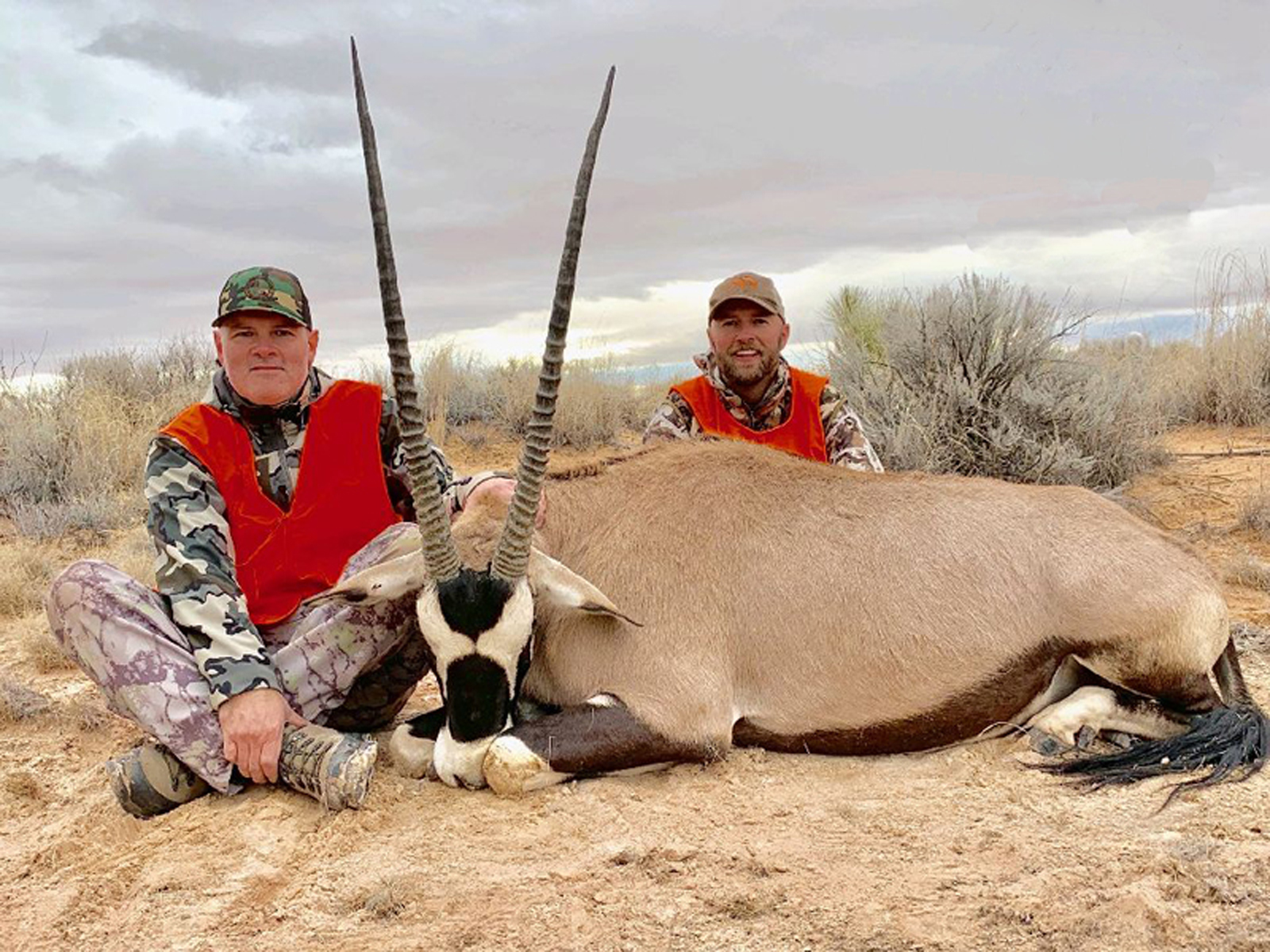 New Mexico On and Off Range Oryx Hunts