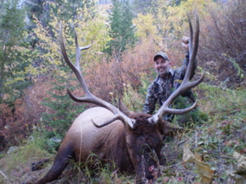 Idaho Backcountry /Wilderness type elk hunt