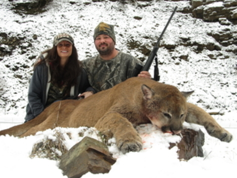 Idaho Cougar Hunt