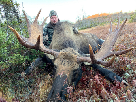 Newfoundland Eastern Canadian Moose Hunt