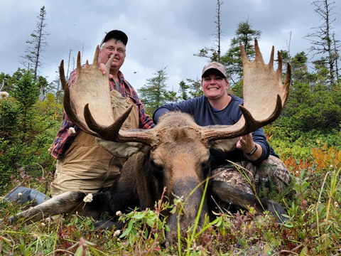 Newfoundland Eastern Canadian Moose Hunt