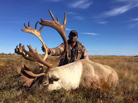 High Success Trophy Woodland Caribou 