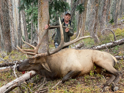 Colorado San Juan Mountains Elk Hunt