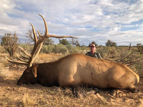 New Mexico Trophy Elk Hunts - Units 16A, 16D, 17, 34 and 36