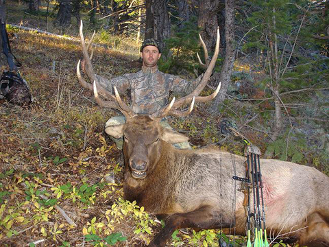 Wyoming Bull Elk Unit 51 just Outside Yellowstone