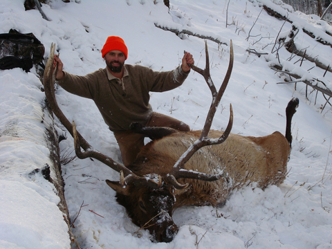 Wyoming Bull Elk Unit 51 just Outside Yellowstone