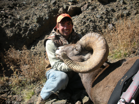 Wyoming Bighorn Sheep - Units 1, 2, 3, 4 and 5