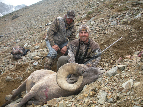 Wyoming Bighorn Sheep - Units 1, 2, 3, 4 and 5