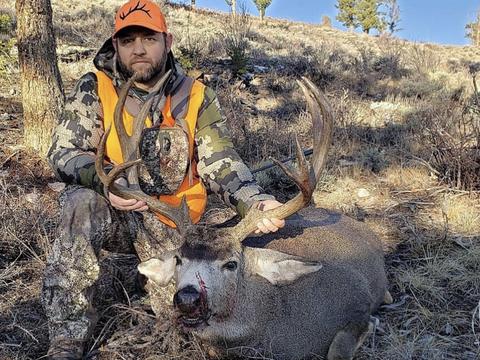 Colorado Gunnison Basin Trophy Mule Deer