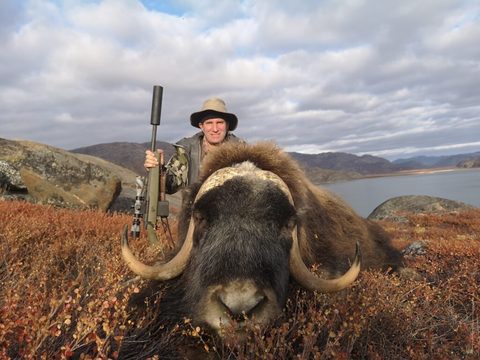 Greenland Fall and Winter Muskox Hunts