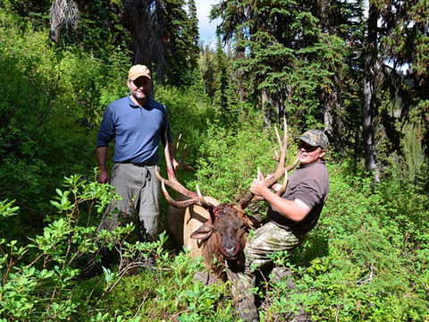 Montana Horseback Wilderness Elk Hunt 