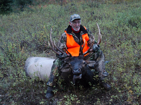 Montana Horseback Wilderness Elk Hunt 