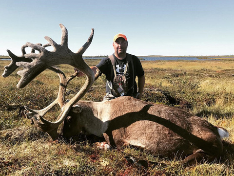 Northern Manitoba Barren Ground Caribou