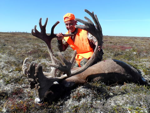 Northern Manitoba Barren Ground Caribou