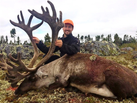 Northern Manitoba Barren Ground Caribou