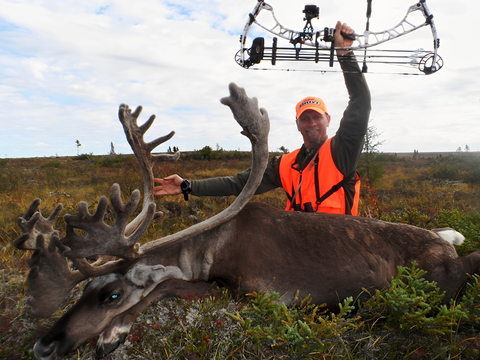 Northern Manitoba Barren Ground Caribou