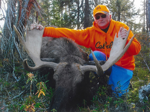 Manitoba Canadian Moose