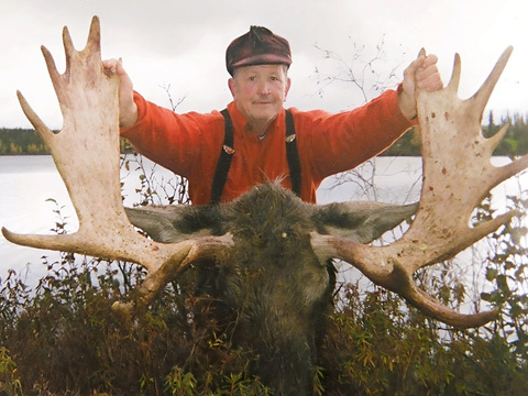 Manitoba Canadian Moose